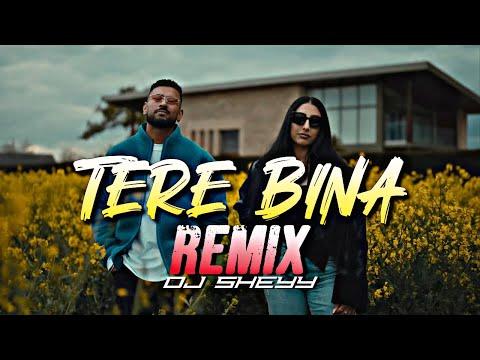Tere Bina (Remix)