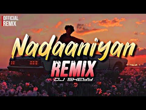 Nadaaniyan (Remix)