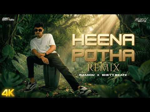 Heena Potha (Remix)