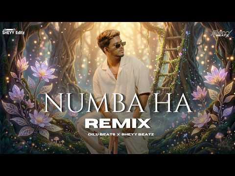 Numba Ha (Remix)